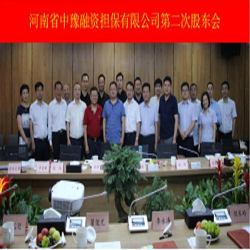 中豫融資擔保公司